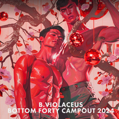 B. Violaceus Live at Bottom Forty Campout - Friday (Techno/Queer Chaos)