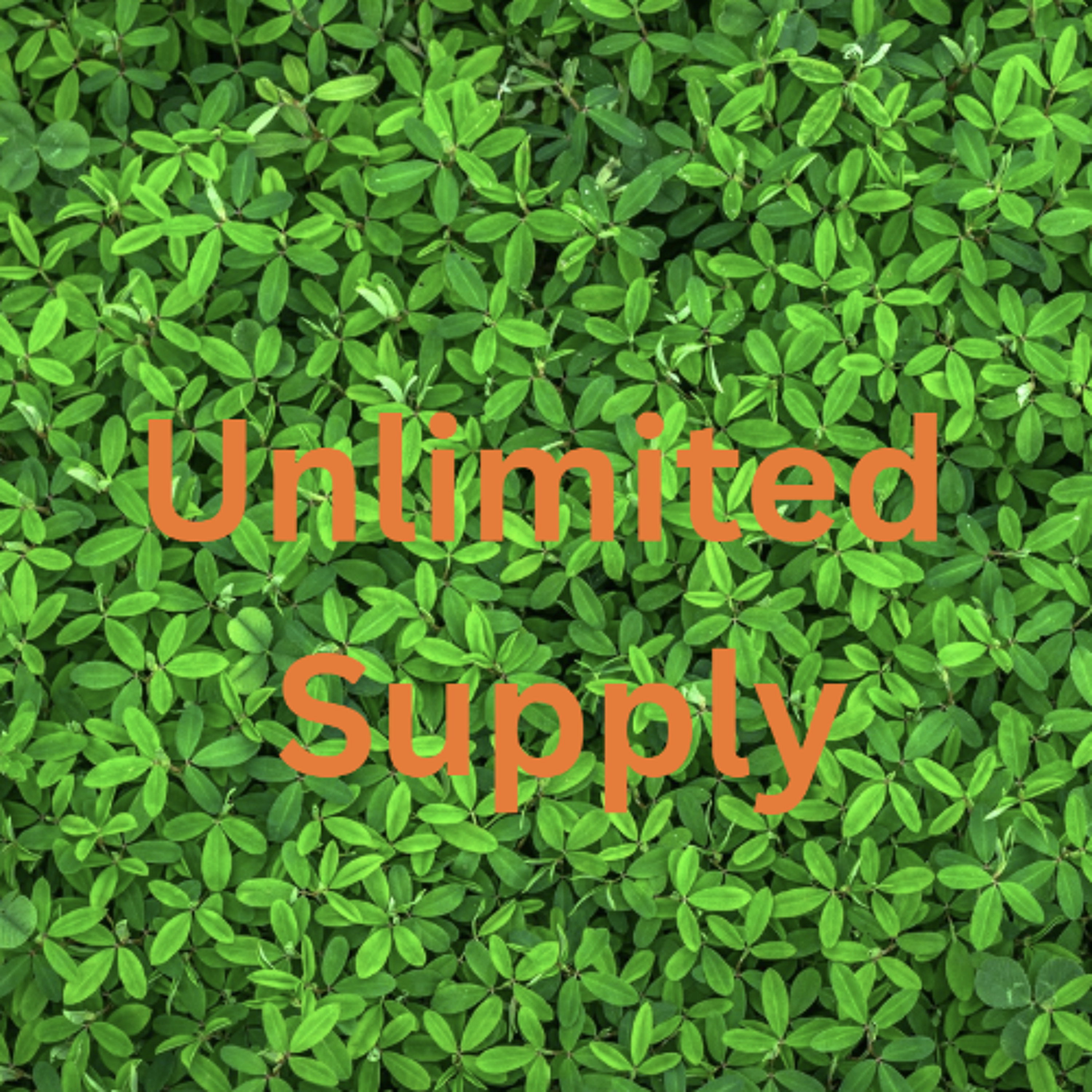 Unlimited Supply episode artwork