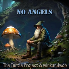 No Angels - The Turtle Project & winkandwoo