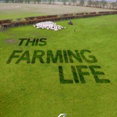 Watch! 【2016】 This Farming Life SE - Full HD
