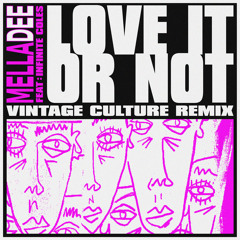 Love It or Not (feat. Infinite Coles) (Vintage Culture Remix)