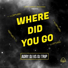 ADRIDJ  & DJ TRIP - WHERE DID YOU GO