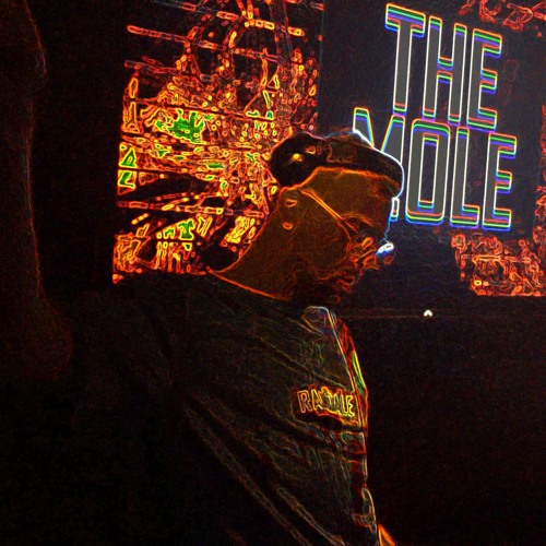 The Mole - Zeltival X WWS 2024
