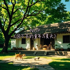 NOP (回不去的童年与夏天) · 桃汽水