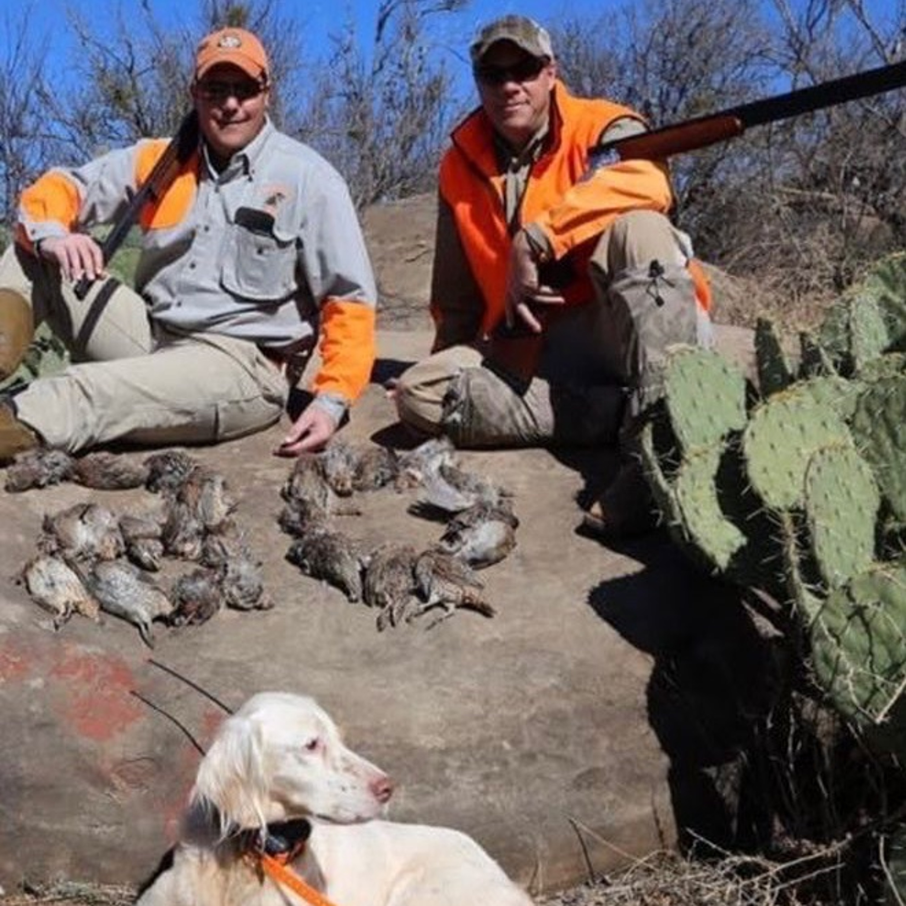 Dr. Dale on Quail