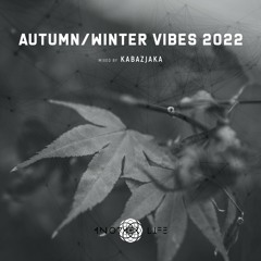 Autumn / Winter Vibes 2022 [Another Life Music] mixed by Kabazjaka