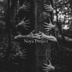 Noya Project 2025