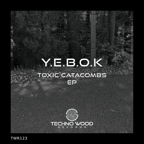 Y.E.B.O.K - C13H16ClNO (Original Mix)