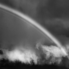 Black Rainbow