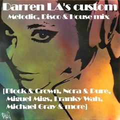 Darren LA's custom Melodic, Disco & House mix [Block & Crown, Nora & Pure, Miguel Migs, Franky Wah]