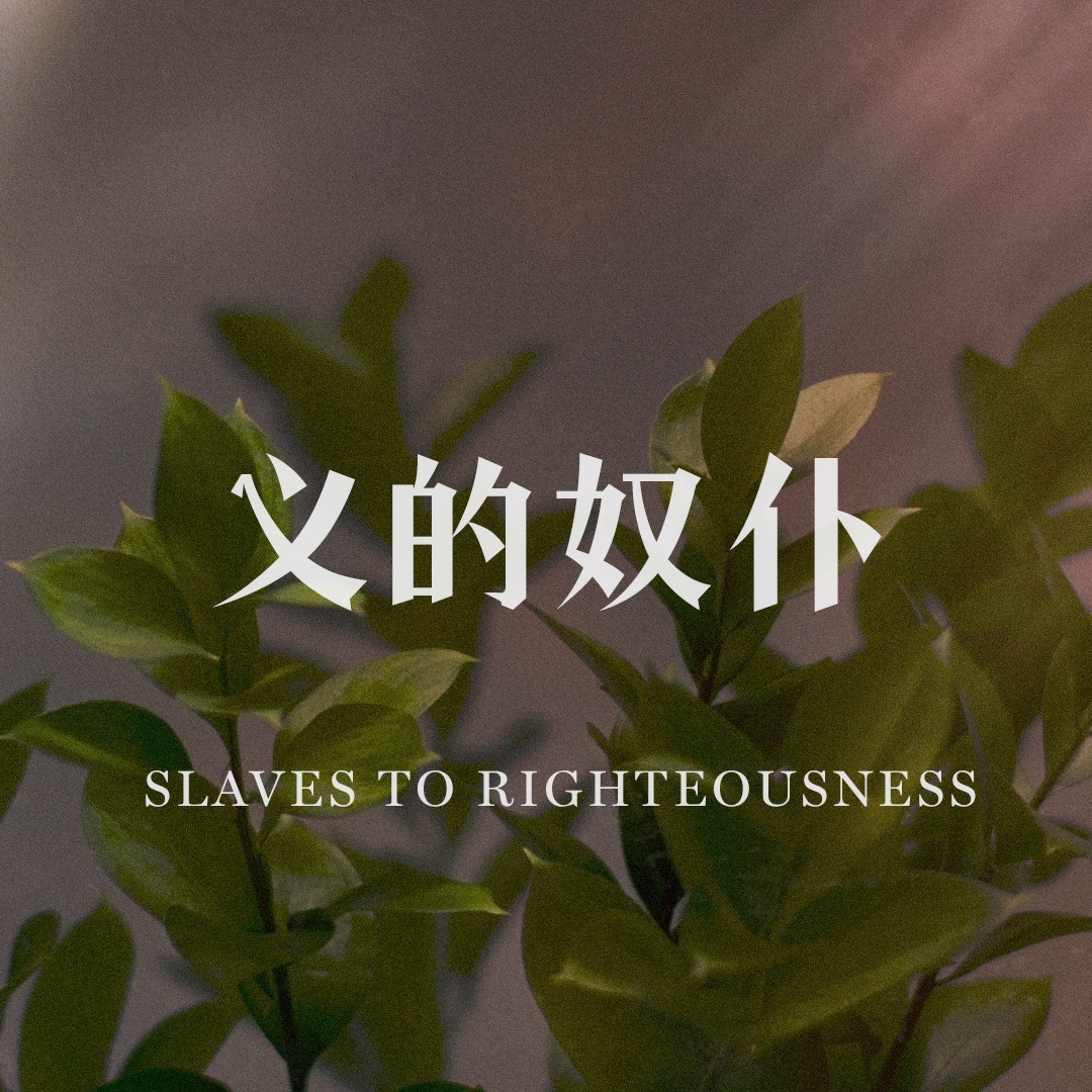 04/21/2024 【罗马书】义的奴仆（上）（罗 6:15-23）——王唯权 牧师 episode artwork