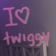 Love Twiggy x MG