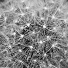 Used To Think It Was Weakness