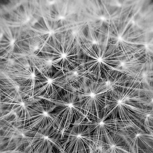 Used To Think It Was Weakness