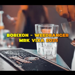Borixon - WEEDBANGER  (MRK VIXA MASHUP 2025)