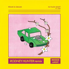 PREMIERE: Kraak & Smaak - In Plain Sight (feat. IVAR)(Rodney Hunter Remix)