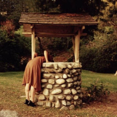 wishing well (neonmaid x notlilthomas)