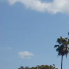 変声 海のための