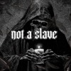 Скачать видео: not a slave