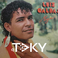 Eu queria ser uma abelha pra pousar na tua flor - Haja Amor - Luiz Caldas | MPB 2023