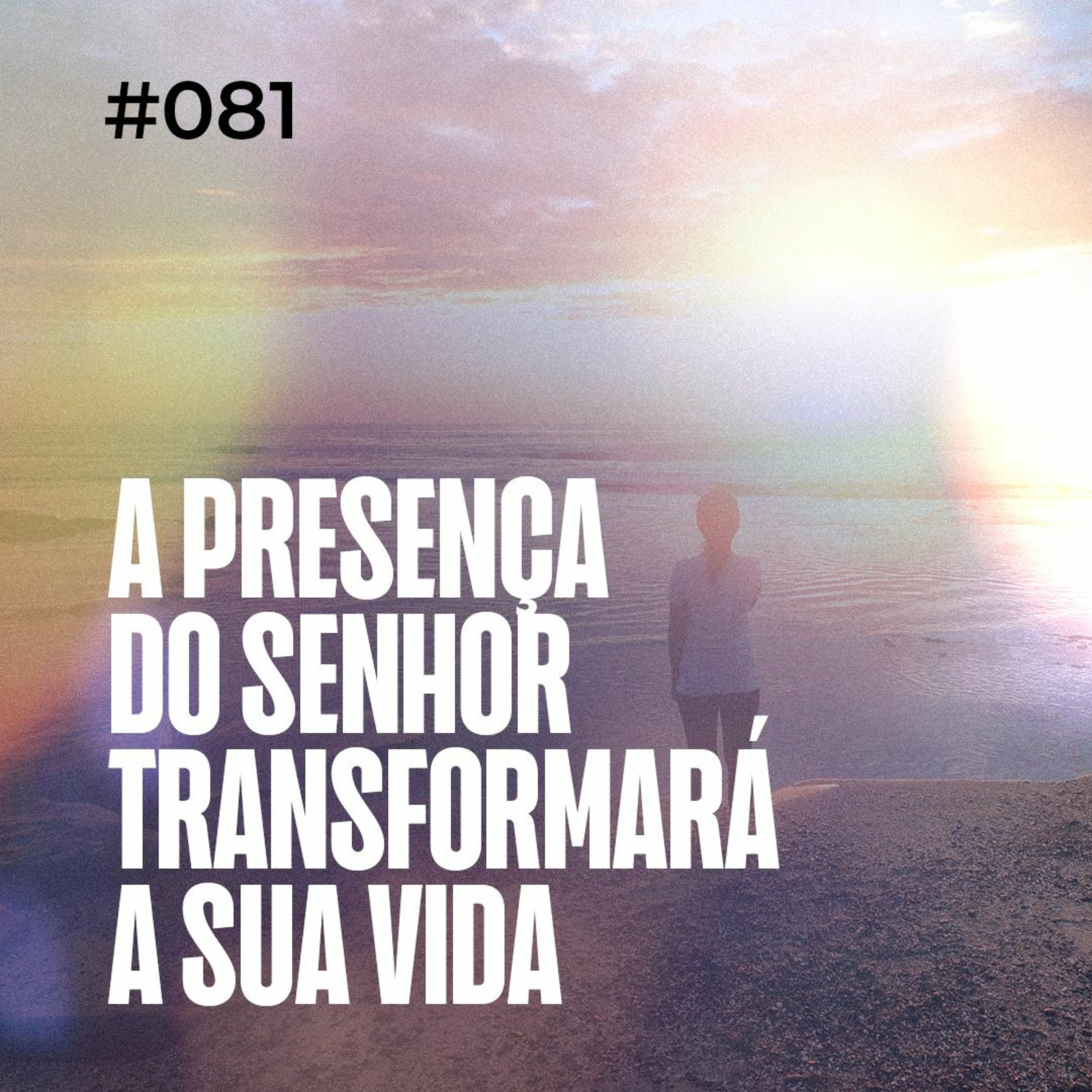 Dirce Carvalho