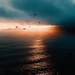 Pure Euphoria! II (Mixed By Divine)