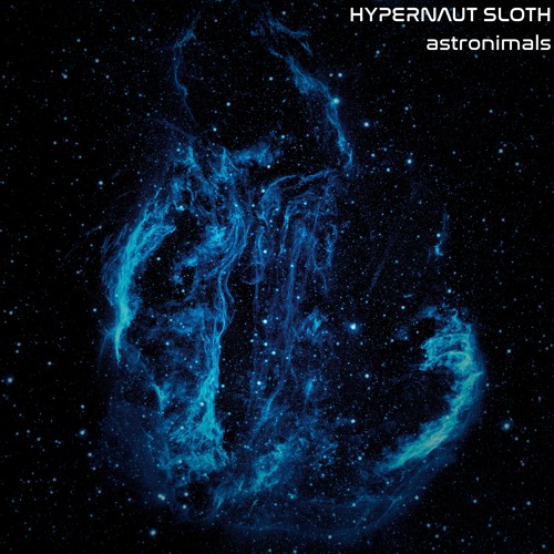 hypernaut & Sloth - astronimals
