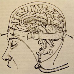 StimulatingSubjects ProtomammalianCortex FearResponseVia ApplicationOf PsychicDriving Protocols