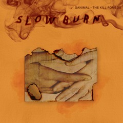 Slow Burn