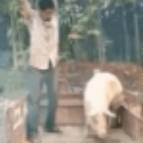 ເຈົ້cko2 - 𝒮ℰ 𝒫ℛℰ𝒫𝒜ℛ𝒜 PROD.ግስে্ድু্ፖ3পিسেfحেু্خিু3ৰুপoকنيبেুীl3দজ্