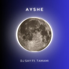 DJ Say - Ayshe (feat. TAMAMI)