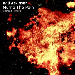 Numb The Pain (Icedream Rework)