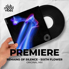 PREMIERE: Remains Of Silence ─ Sixth Flower (Original Mix) [Prototype]