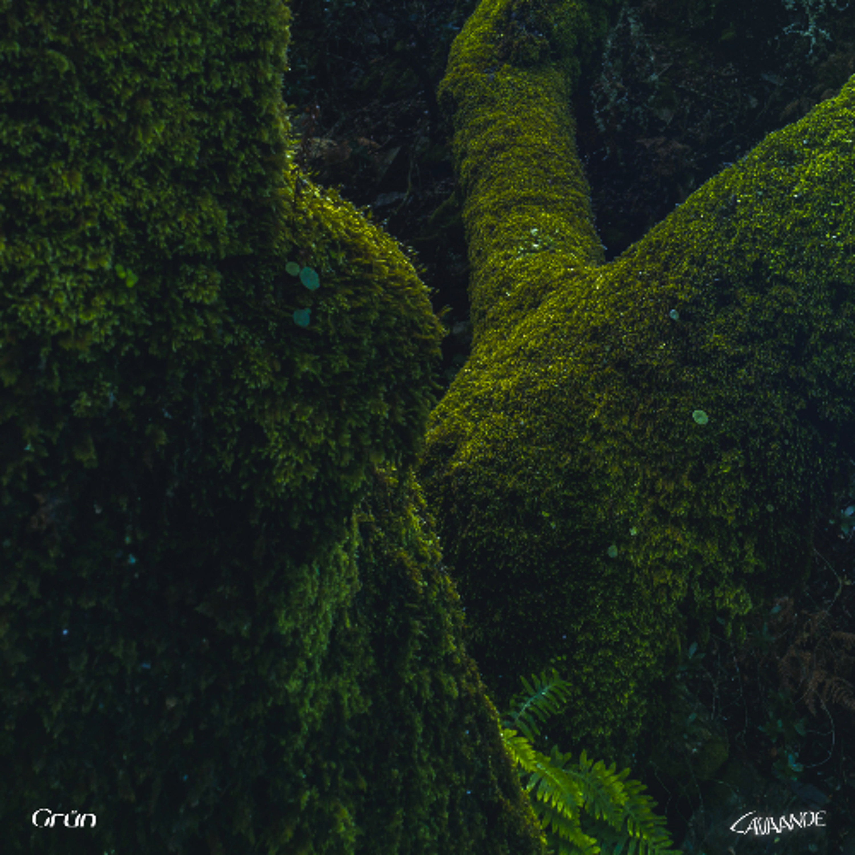 Grün Mixtape episode artwork