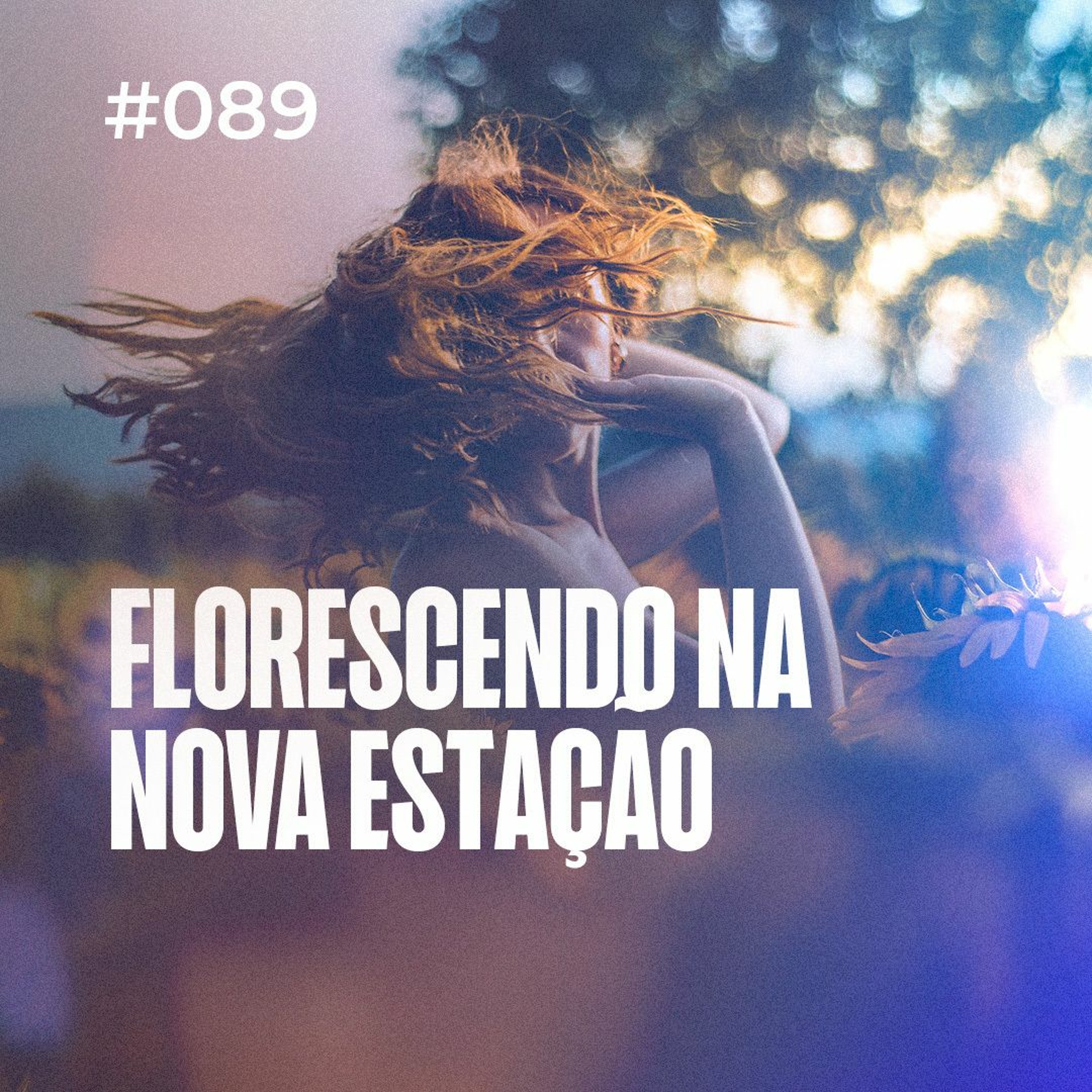 Dirce Carvalho