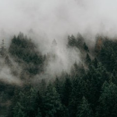 LaKoste - Nebel