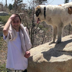 GAMEBOYSACE & OddlyShrugs & Swvde. - WHY YOU RUNNIN [prod. swvde. x gameboysace]