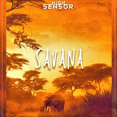 High Sensor - Savana