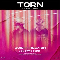 REZarin & Cuish Feat. Sam Welch - Torn (Jon Daviz Remix)