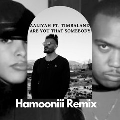 Aaliyah ft. Timbaland - Are You That Somebody (Hamooniii Remix)