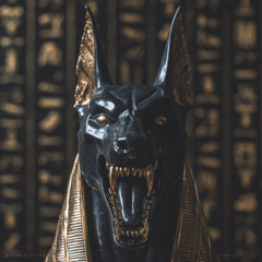 ANUBIS XXL HEAVYWEIGHT