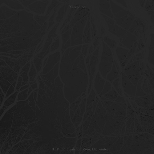 So What? (@elijahdior x diorwinter x zoro)