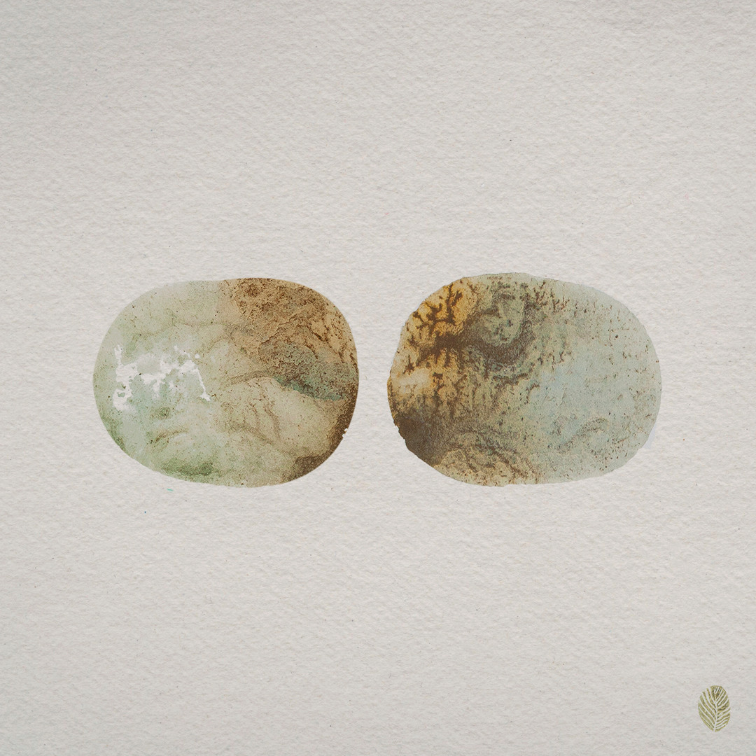 Stream Hide To Seek (Regrown) [feat. Marysia Osu] by Laura Misch | Listen  online for free on SoundCloud