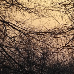 Marco Lucchi & Mean Flow - Die ewige Wiederkunft des Gleichen