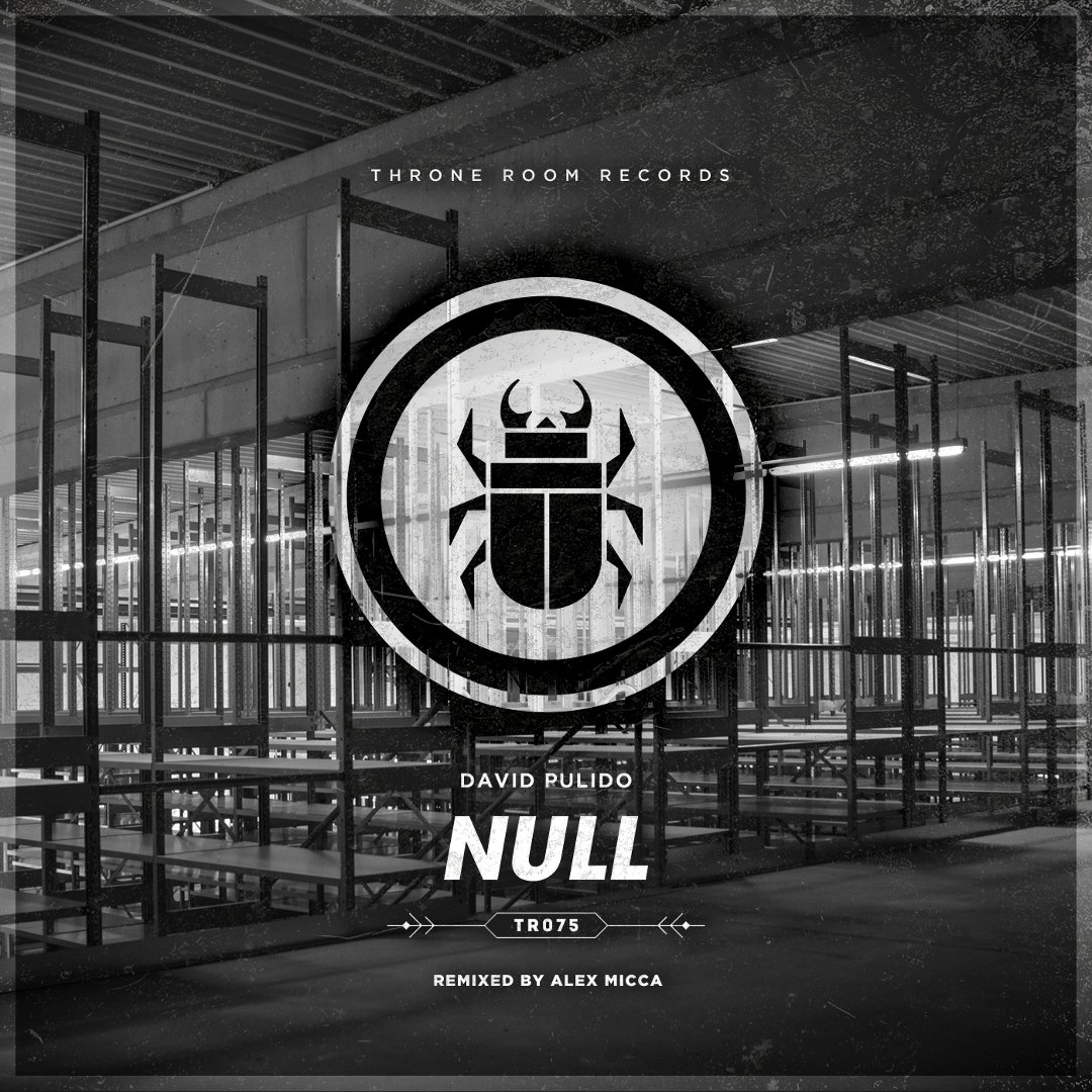 David Pulido Null episode artwork