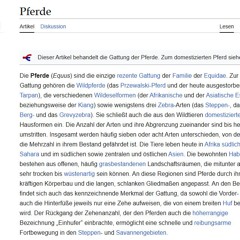 WhatsApp Audio 2025-10-20 um 17.33.20_af655fc7 (1)