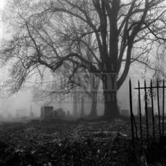 gótica (prod. sweetmeatbeats)