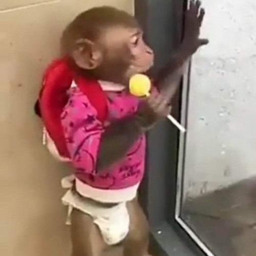 I Cant Handle Change (intro loop) 1 hour