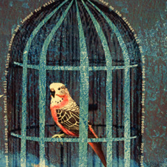 NoxPox Geomant -  Padang the Mindtraveling Caged Bird