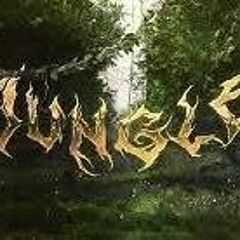D - Rah - Jungle (Official Audio)